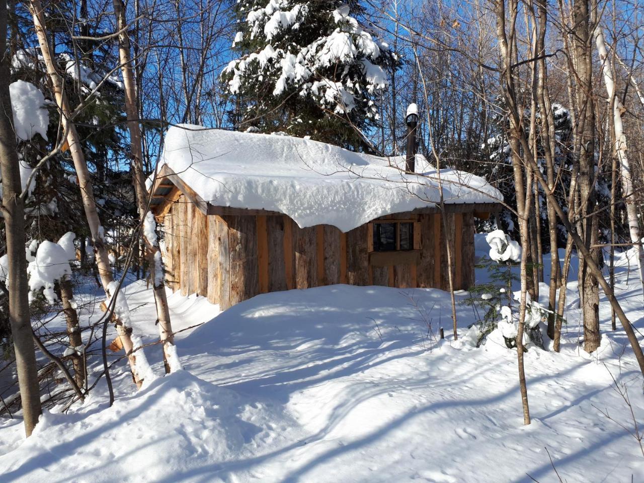 Hebergement De La Montagne St-Roch Saint Roch de Mekinac エクステリア 写真