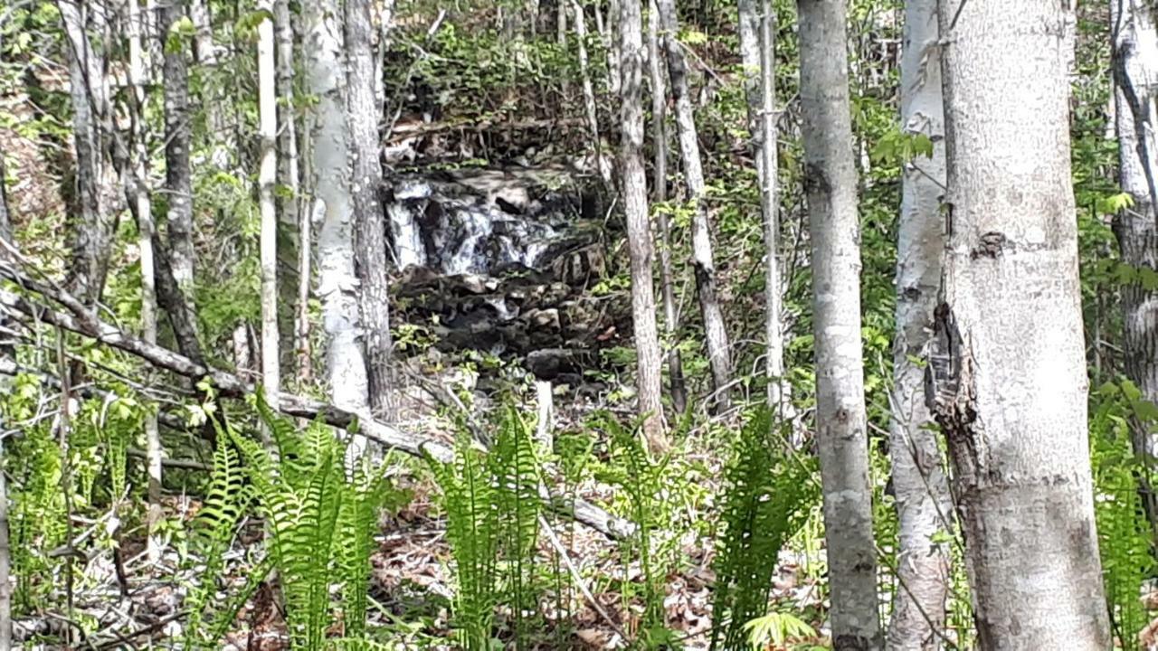 Hebergement De La Montagne St-Roch Saint Roch de Mekinac エクステリア 写真